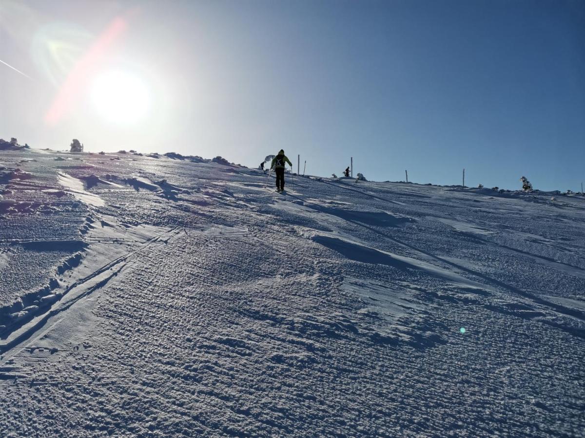 Luxusni Apt Hory 7 V Krkonosich Vysoké nad Jizerou Exteriör bild