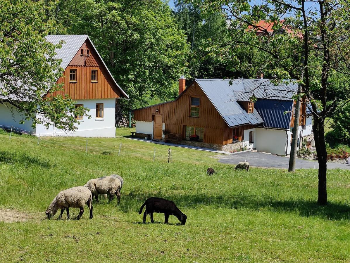 Luxusni Apt Hory 7 V Krkonosich Vysoké nad Jizerou Exteriör bild